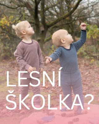 👟 Lesní školka = vrstvení bez stresu 🌲 Každé dítě je jiné – jedno je horkokrevné 🔥, druhé zimomřivé ❄️. A právě proto jsme...